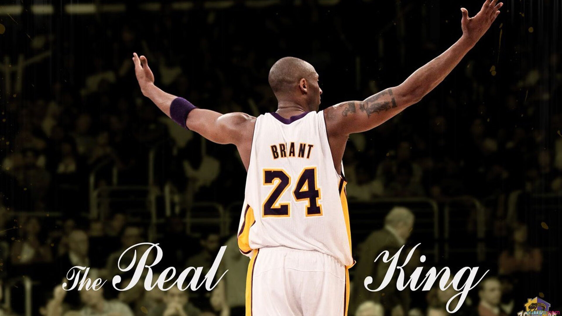 九游游戏中心-车迷纪实：F1现场的狂热狂欢，f1赛车迷